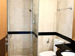 Cuscaden Residences (D10), Condominium #547050481